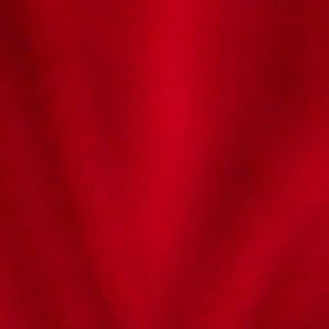 Meet your Posher, Gavin